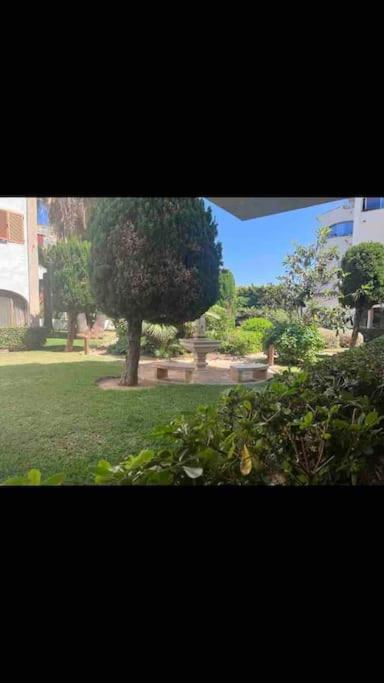 Estudio Montanar A 50 Metros Del Mar 哈维亚 外观 照片